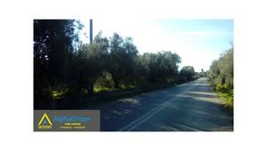 Αγροτεμάχια 22.000 τ.μ. για πώληση, Μεσσηνία, Μεσσήνη-thumb-2
