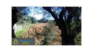 Αγροτεμάχια 22.000 τ.μ. για πώληση, Μεσσηνία, Μεσσήνη-thumb-9