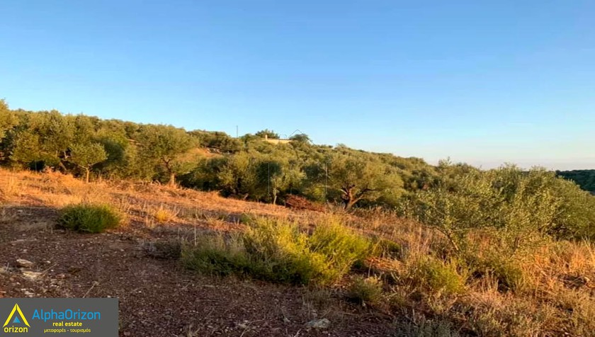 Αγροτεμάχια 27.000τ.μ. για πώληση-Παπαφλέσσας » Κούμαρο