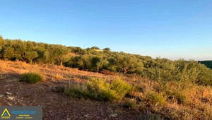 Parcel 27.000sqm for sale-Papaflessas » Koumaro