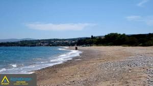 Αγροτεμάχια 4.700 τ.μ. προς πώληση, Καλαμάκι Πεταλιδίου-thumb-5