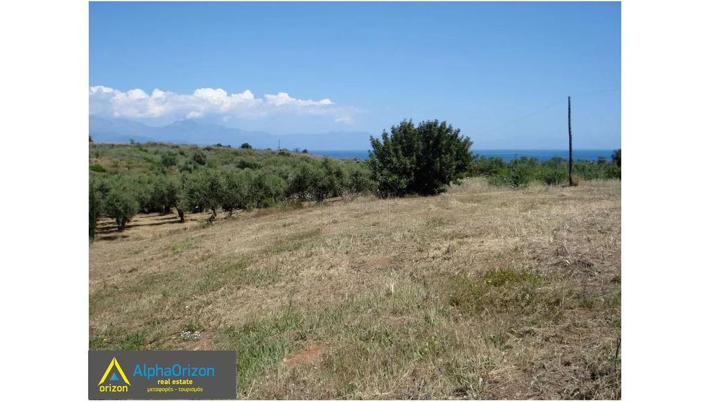 Αγροτεμάχια 4.700 τ.μ. πρός πώληση, Μεσσηνία, Πεταλίδι