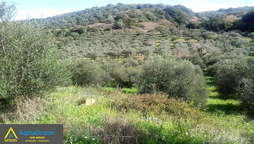 Αγροτεμάχια 60.000τ.μ. για πώληση-Πύλος » Κέντρο