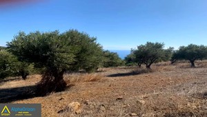 Parcel 7.900sqm for sale-Koroni » Vasilitsi