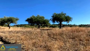 Parcel 7.800sqm for sale-Koroni » Vasilitsi