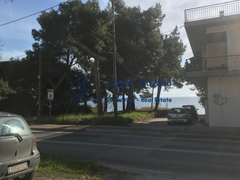 Μονοκατοικία 138τ.μ. για πώληση-Αγριά » Κέντρο