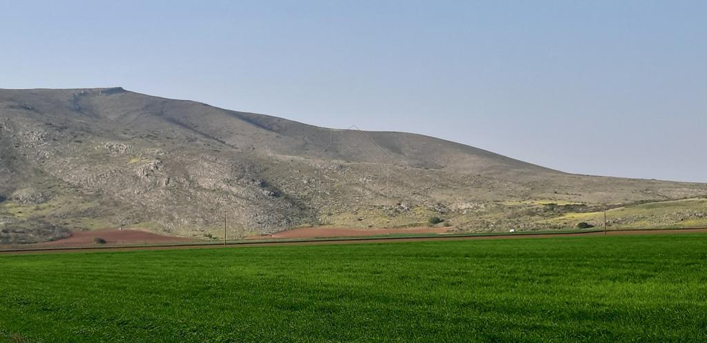 Αγροτεμάχια 250.000 τ.μ. προς πώληση, Κέντρο Φαρσάλων