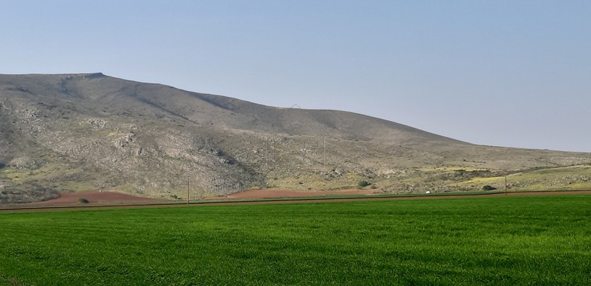 Αγροτεμάχια 250.000 τ.μ. προς πώληση