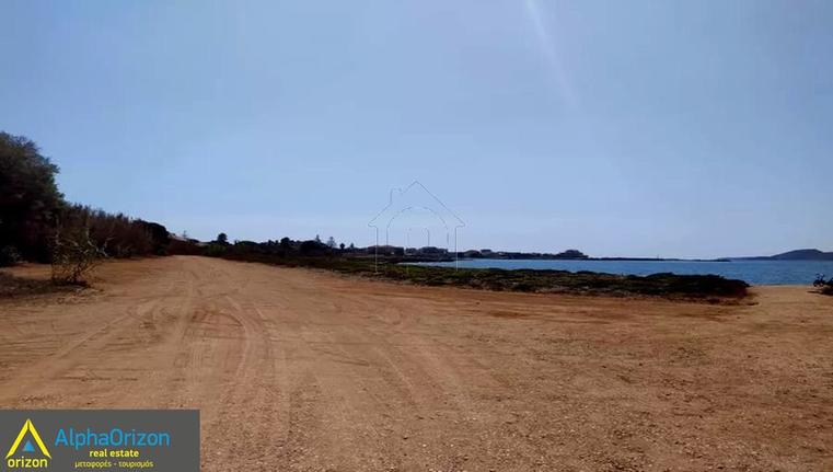 Οικόπεδο 10.000 τ.μ. για πώληση, Μεσσηνία, Γαργαλιάνοι
