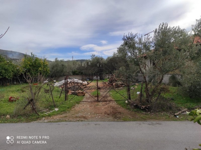 Land plot 643sqm for sale-Milies » Kala Nera