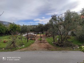 Land plot 643sqm for sale-Milies » Kala Nera