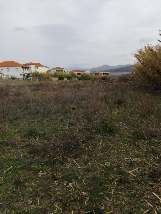 Land plot 4.000 sqm for sale, Lesvos Prefecture, Lesvos - Eresos
