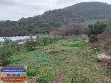 Parcel 1.250sqm for sale-Eleitheres » Agios Andreas