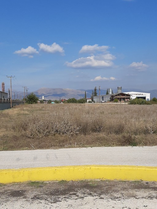 Αγροτεμάχια 10.750 τ.μ. για πώληση