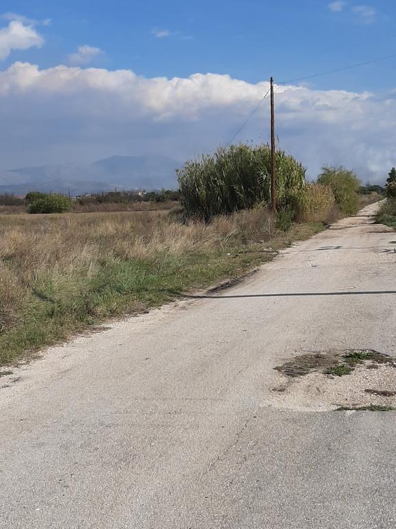 Αγροτεμάχια 10.750 τ.μ. προς πώληση, Κέντρο Νέας Κίου