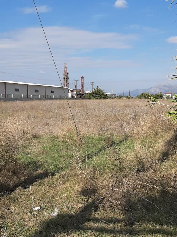 Αγροτεμάχια 10.750 τ.μ. προς πώληση, Κέντρο Νέας Κίου