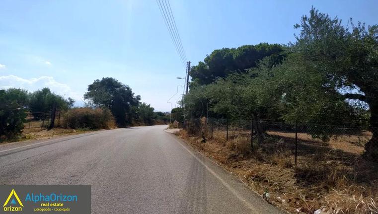 Οικόπεδο 3.300 τ.μ. για πώληση, Μεσσηνία, Μεσσήνη