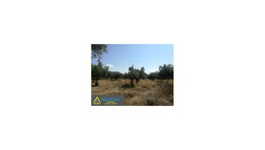 Land plot 3.500sqm for sale-Messini » Analipsi