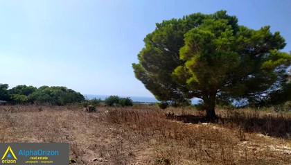 Land plot 70.000sqm for sale-Pilos » Schinolakka