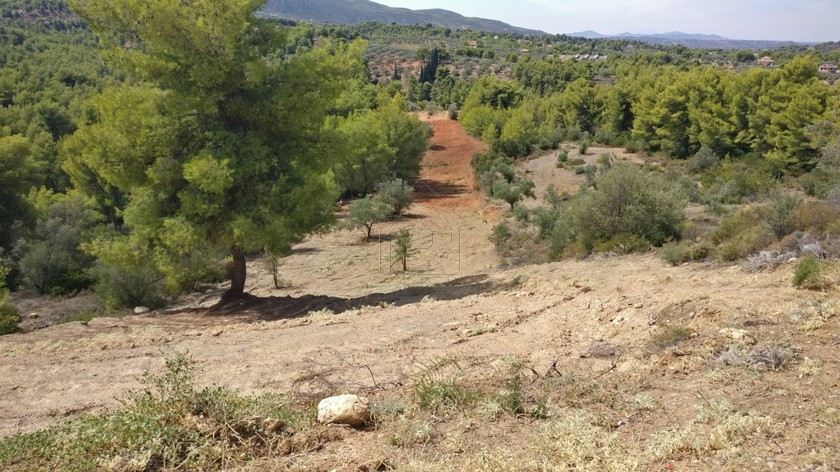 Οικόπεδο 4.672 τ.μ. για πώληση