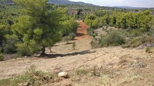 Οικόπεδο 4.672 τ.μ. για πώληση