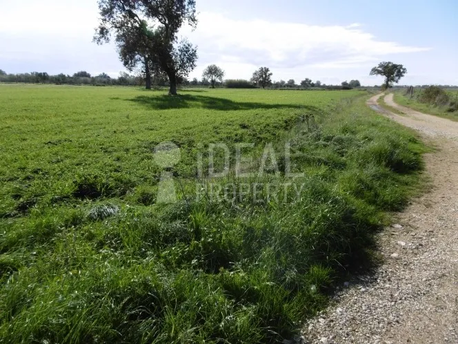 Parcel 4.000 sqm for sale, Achaia, Movri