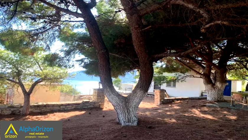 Οικόπεδο 3.300 τ.μ. προς πώληση