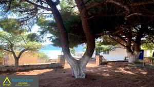Οικόπεδο 3.300 τ.μ. για πώληση