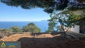 Οικόπεδο 3.300 τ.μ. προς πώληση, Βασιλίτσι-thumb-8