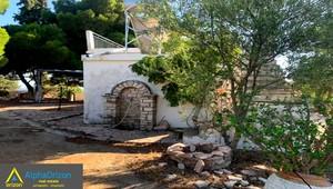 Οικόπεδο 3.300 τ.μ. προς πώληση, Βασιλίτσι-thumb-11