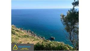 Οικόπεδο 3.300 τ.μ. προς πώληση, Βασιλίτσι-thumb-14