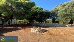 Οικόπεδο 3.300 τ.μ. προς πώληση, Βασιλίτσι-thumb-19