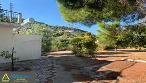 Οικόπεδο 3.300 τ.μ. προς πώληση, Βασιλίτσι-thumb-21