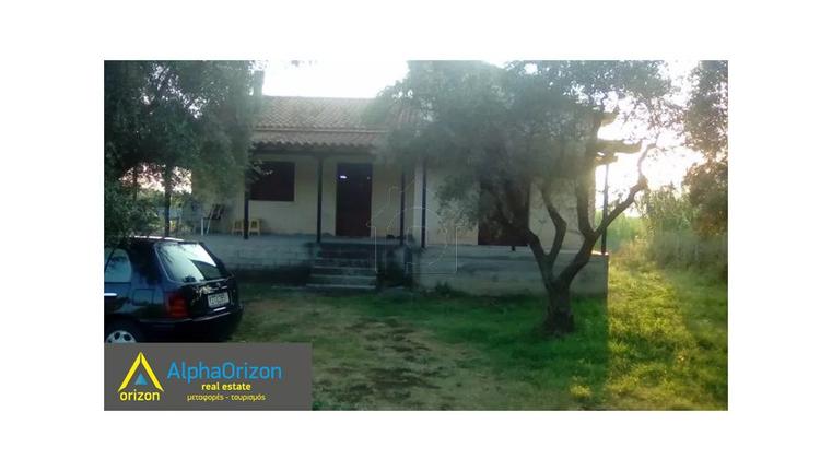 Μονοκατοικία 80 τ.μ. για πώληση, Μεσσηνία, Αρφαρά