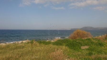 Οικόπεδο 4.000 τ.μ. για πώληση, Ν. Λασιθίου, Σητεία
