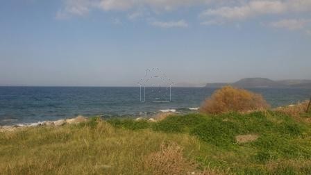Land plot 4.000sqm for sale-Siteia » Tripitos