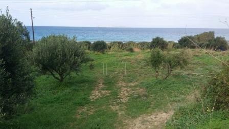 Land plot 14.000sqm for sale-Siteia » Tripitos
