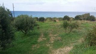 Οικόπεδο 14.000 τ.μ. για πώληση