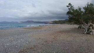 Οικόπεδο 14.000 τ.μ. για πώληση, Ν. Λασιθίου, Σητεία-thumb-4