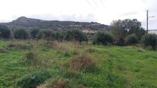 Οικόπεδο 14.000 τ.μ. για πώληση, Ν. Λασιθίου, Σητεία-thumb-6
