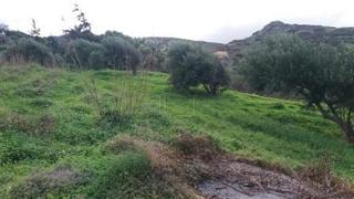 Οικόπεδο 14.000 τ.μ. για πώληση, Ν. Λασιθίου, Σητεία-thumb-15