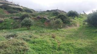 Οικόπεδο 14.000 τ.μ. για πώληση, Ν. Λασιθίου, Σητεία-thumb-16