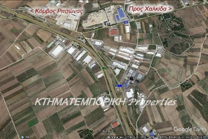 Αγροτεμάχια 30.000 τ.μ. για πώληση