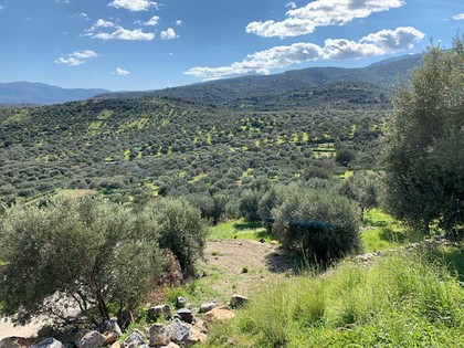 Land plot 1.200sqm for sale-Agios Nikolaos » Mardati