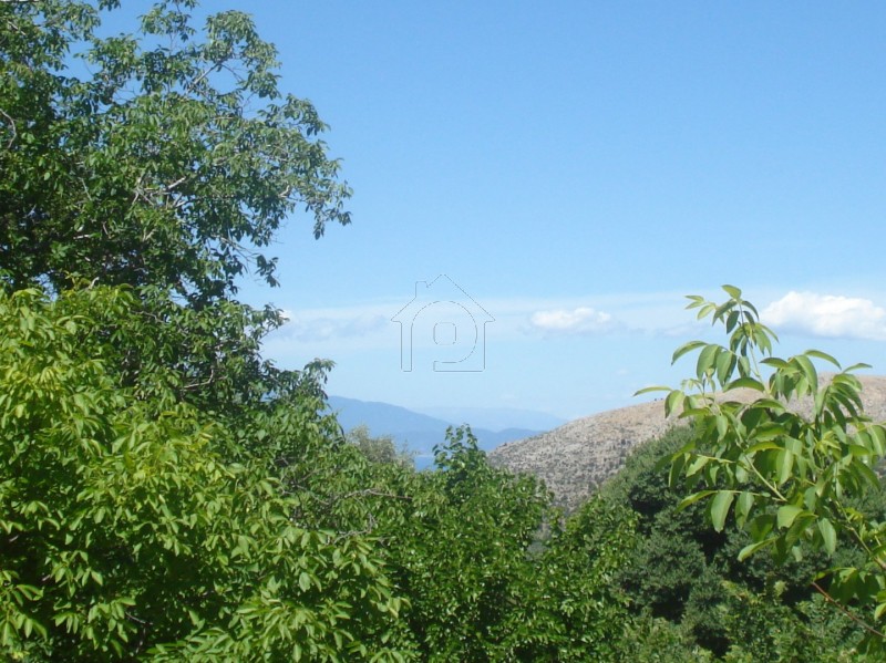 Οικόπεδο 966τ.μ. για πώληση-Θάσος » Μικρός πρίνος