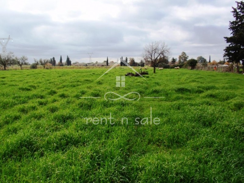 Land plot 7.445 sqm for sale