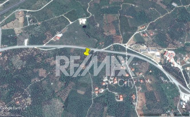Αγροτεμάχια 6.500τ.μ. για πώληση-Αλεξανδρούπολη » Μάκρη