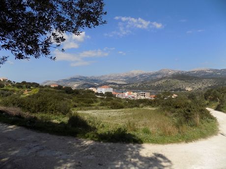 Parcel 8.178sqm for sale-Kefalonia » Argostoli