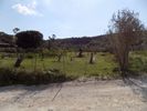 Parcel 4.704sqm for sale-Kefalonia » Argostoli