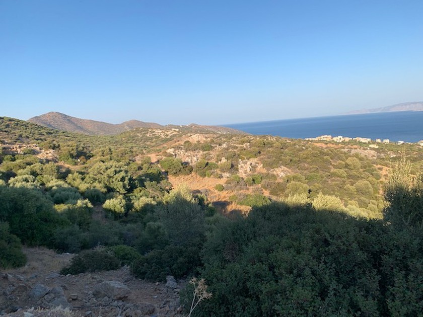 Land plot 3.339 sqm for sale, Lasithi Prefecture, Agios Nikolaos
